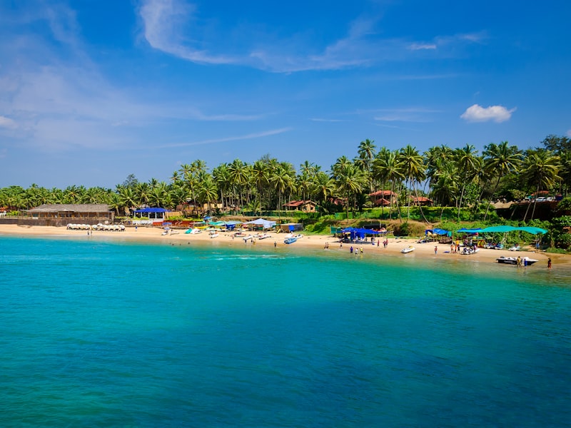 Playa tropical con palmeras